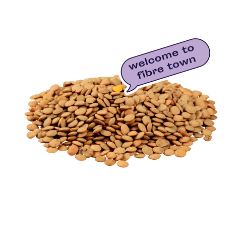 high fibre diet to help stop constipation with lentils wild dose